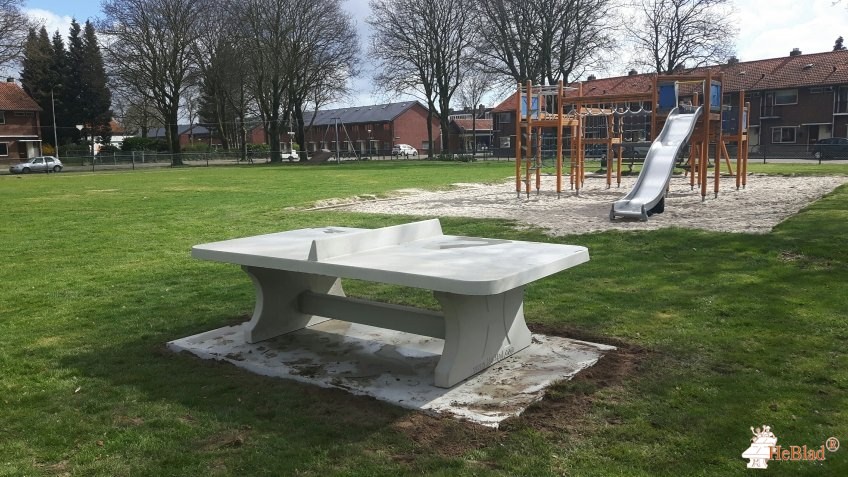 Stichting move uit Eindhoven