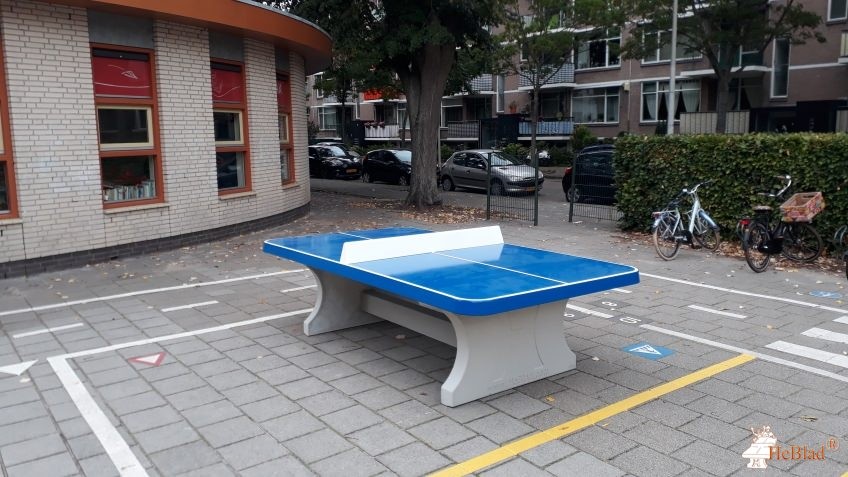 Basisschool de jonge Wereld uit Den Haag
