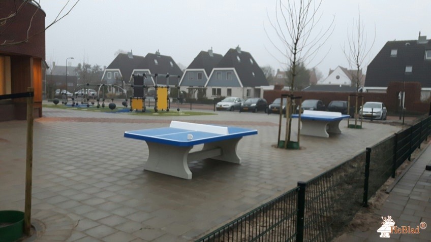 CBS De Glashorst uit Scherpenzeel (gld)