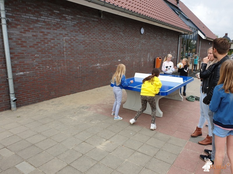 Beekpark uit Zenderen