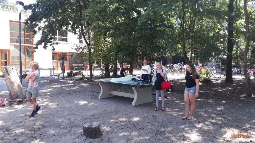 Basisschool de Sonnewijzer  uit Son en Breugel