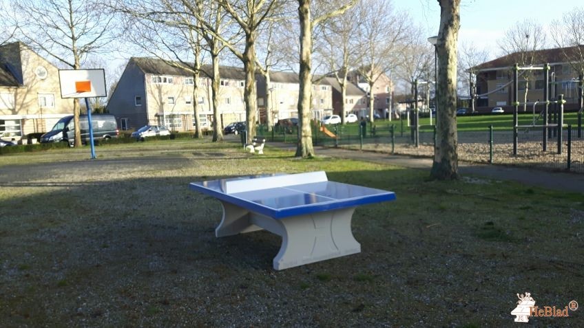 Dorpsveld 8 - Berlicum tussen Basketbalpaal & tov huisnummer 6/8 op halfverharding uit Berlicum 