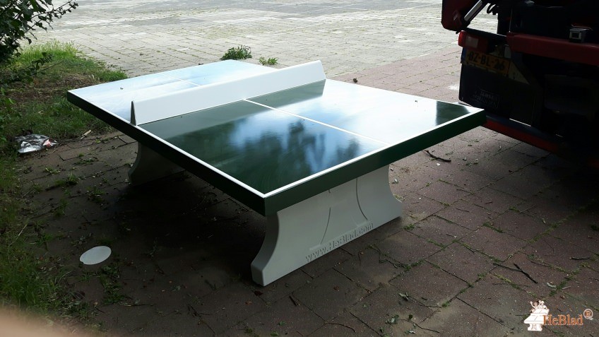 Startcollege uit Zwolle