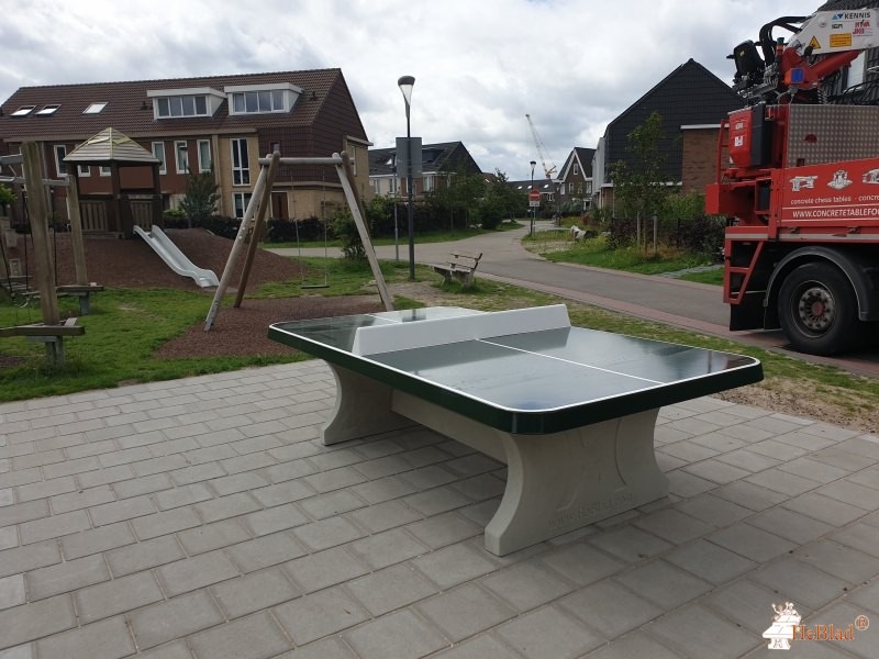 Speelveld uit Rijswijk