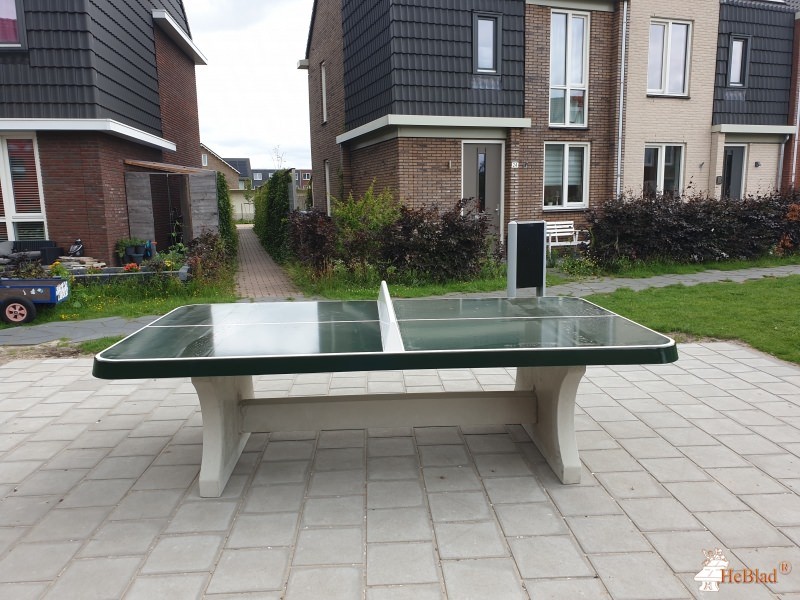 Speelveld uit Rijswijk