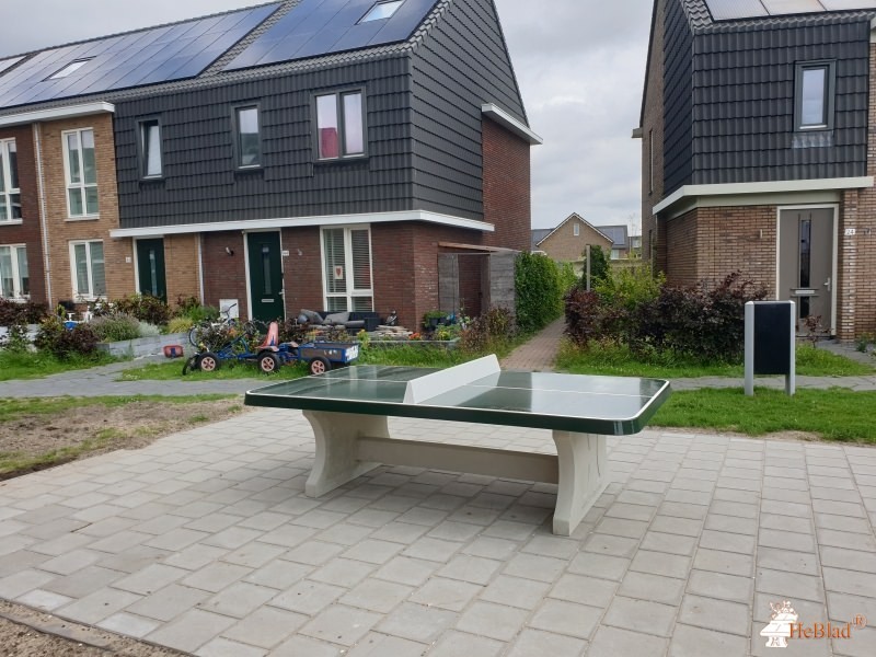 Speelveld uit Rijswijk