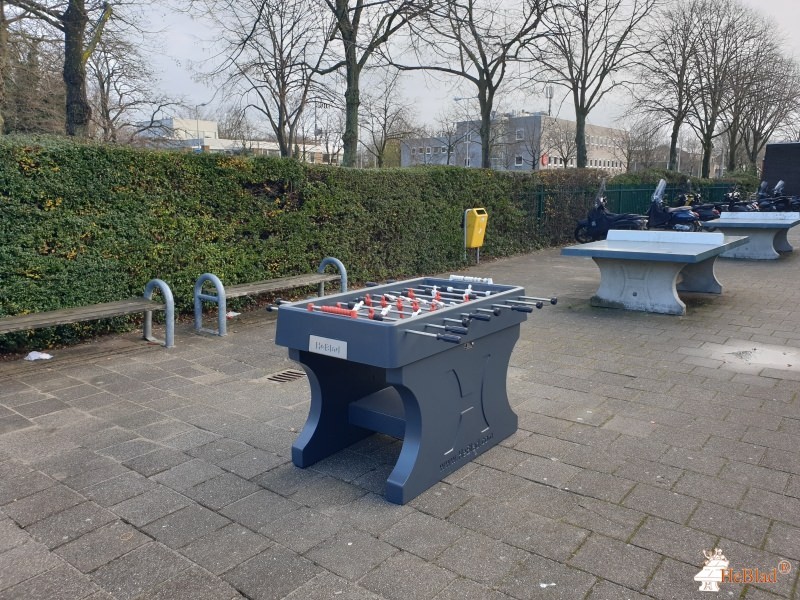 Damstede uit Amsterdam