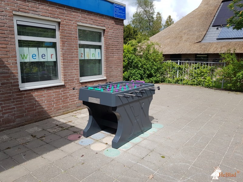 De Lisdodde uit Wanneperveen