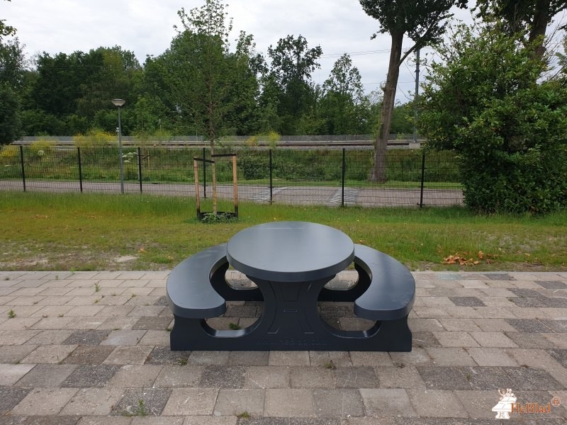 Lyceum Schravenlant uit Schiedam