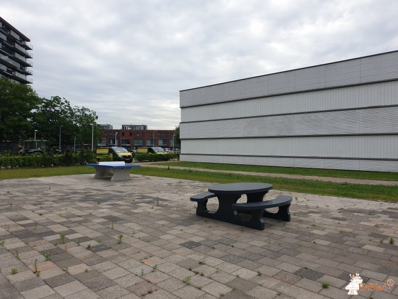 Lyceum Schravenlant uit Schiedam
