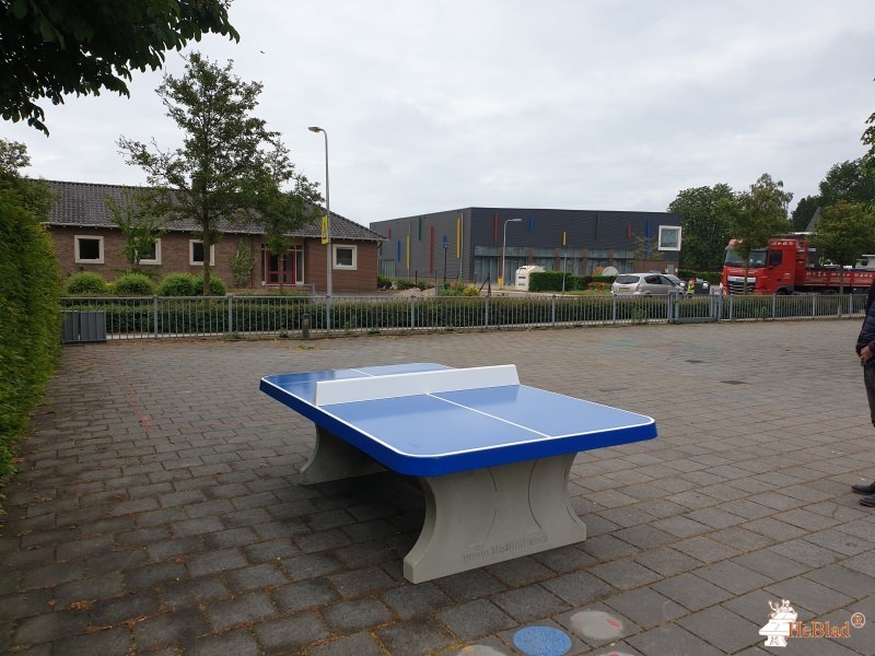 Basisschool Sint Theresia uit Mariënvelde