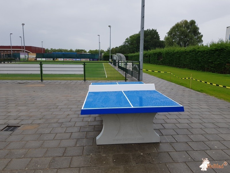 Korfbalvereniging DSO  uit Klundert