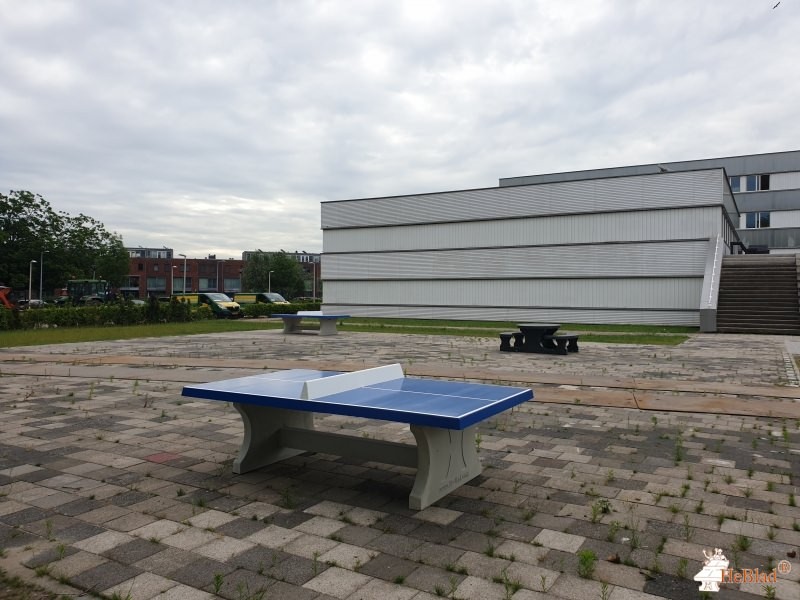 Lyceum Schravenlant uit Schiedam