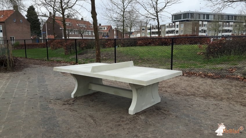 Basisschool Tiliander uit Tilburg