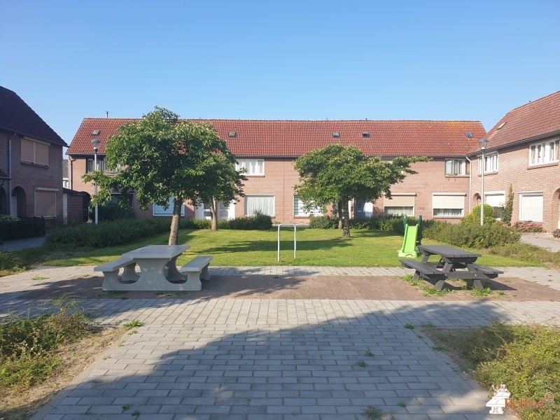 Speelveld uit Helmond