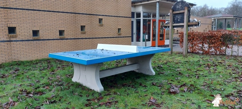 Molecaten Park 't Hout uit Bakkeveen
