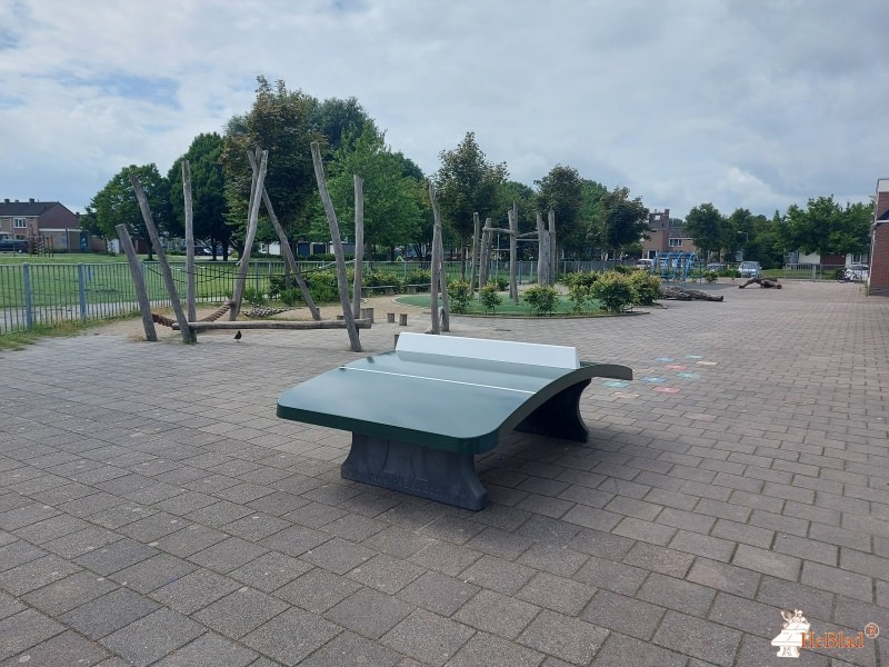 Sint Petrusschool uit Volendam