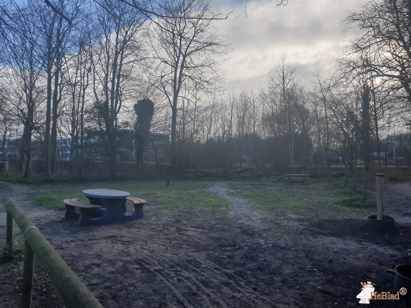 Park Het Overbosch uit Voorhout