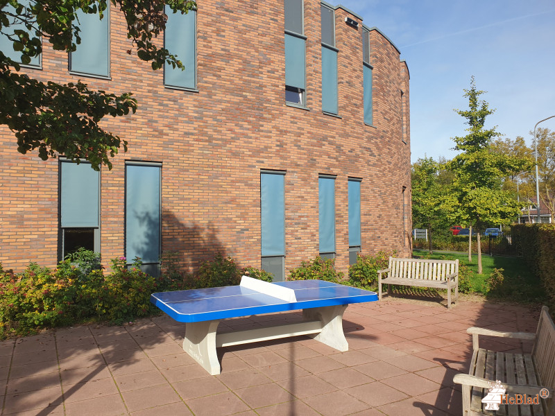 VSO De Isselborgh uit Doetinchem