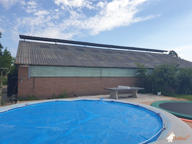 Gezinshuis 10-site uit Ederveen