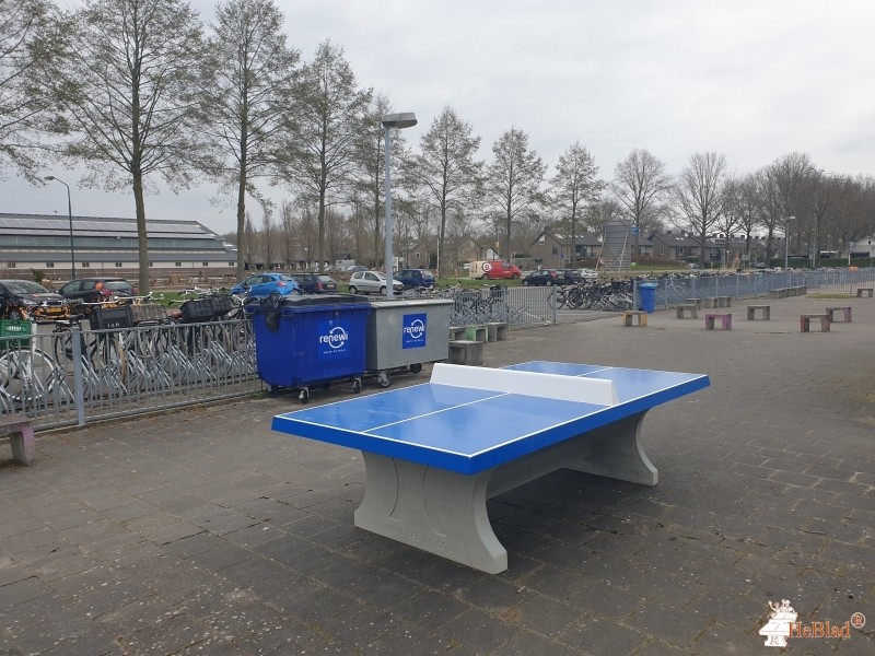 2college Durendael uit Oisterwijk