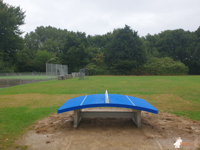 School De Vlieger uit Alkmaar