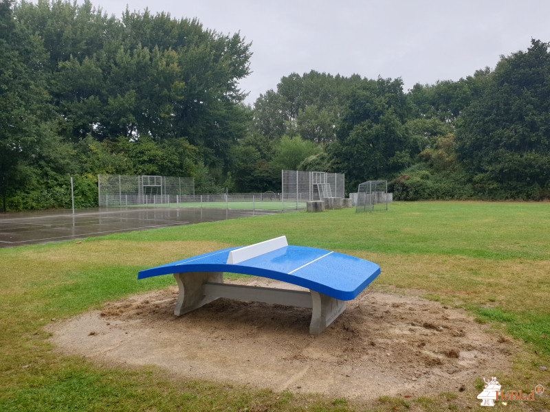 School De Vlieger uit Alkmaar