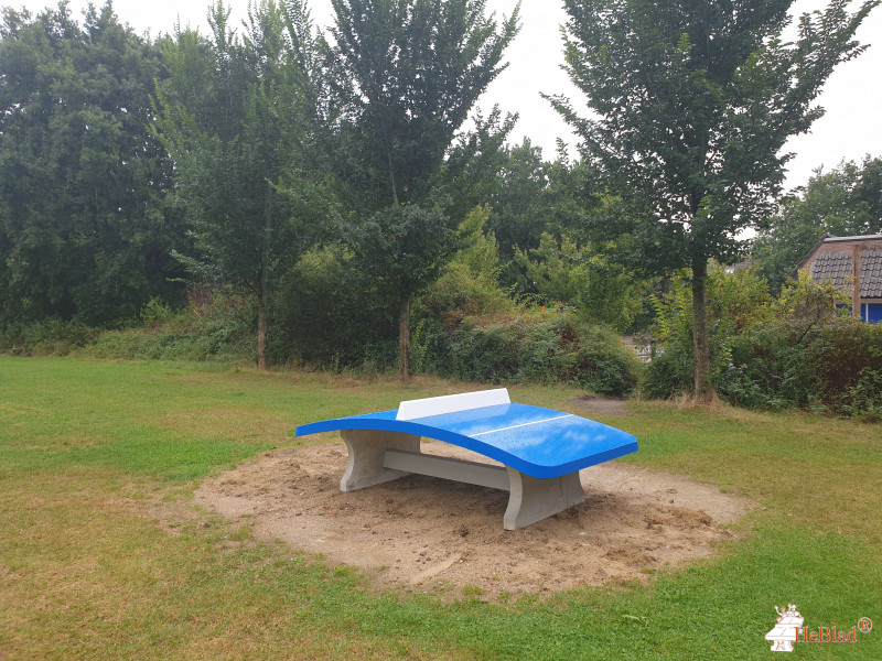 School De Vlieger uit Alkmaar