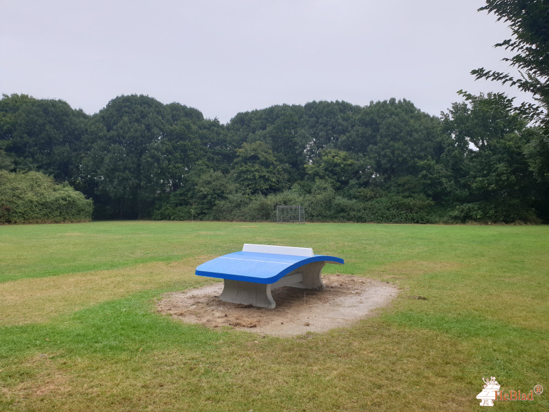 School De Vlieger uit Alkmaar