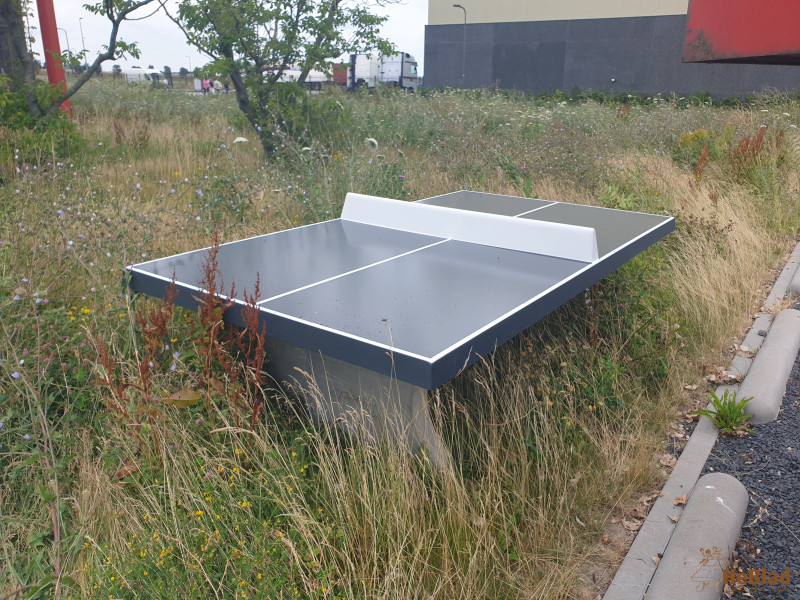 C-Beta uit Hoofddorp