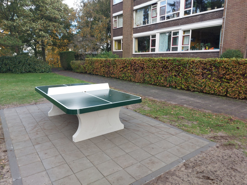 Mozartstraat  2324 XT Leiden uit Leiden