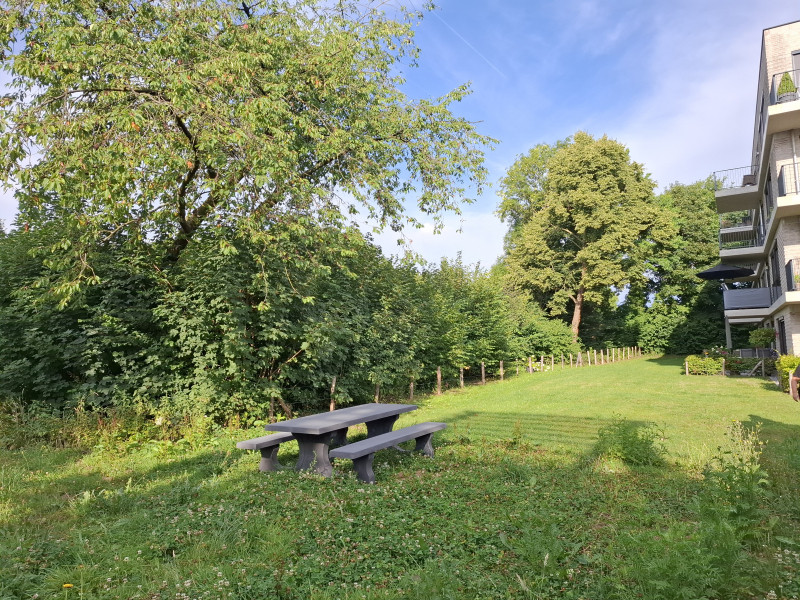 achter het kleine gebouwtje achter de parkeerplaats op het gras uit Margraten