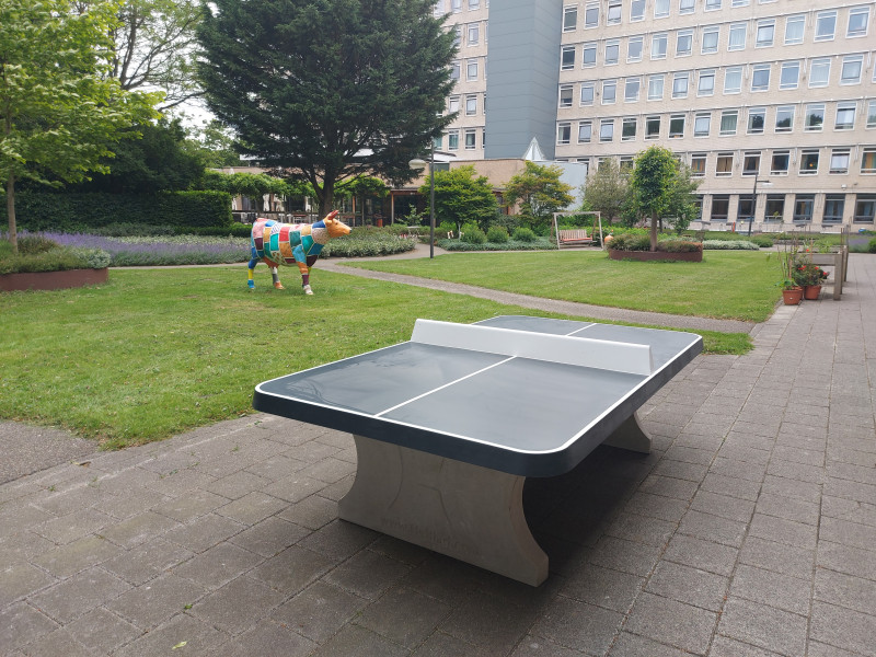 St. Florence dagcentrum Mariahoeve uit Den Haag