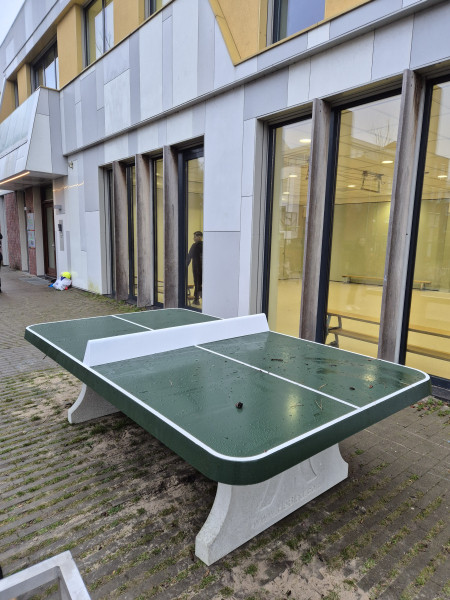 Dynamica Noordsterweg uit Wormerveer