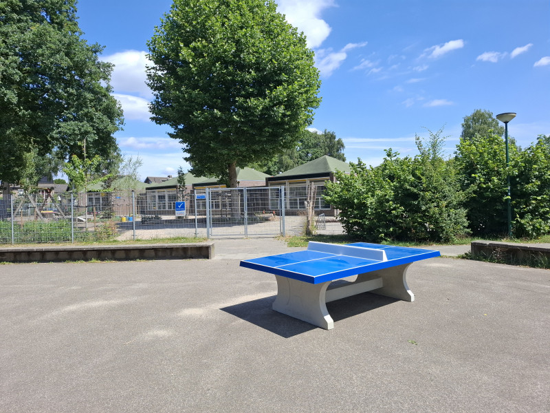 Basisschool de Vlinderboom uit Loon op Zand