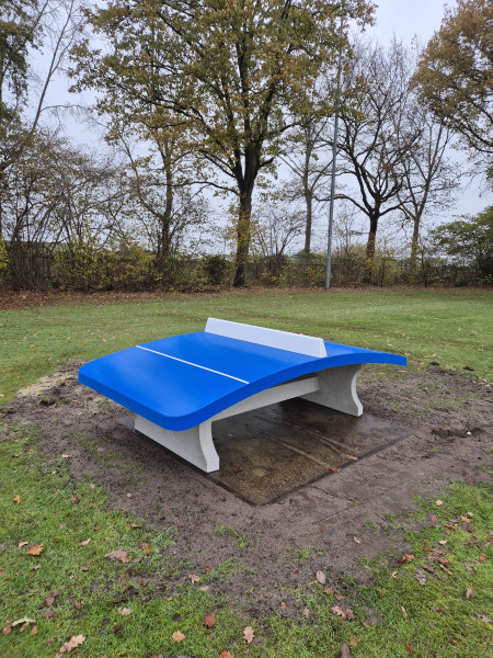 s.v. Blauw-Geel '38 uit Veghel