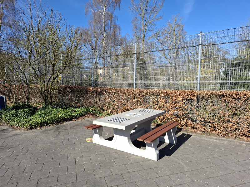 Taalbrug uit Eindhoven