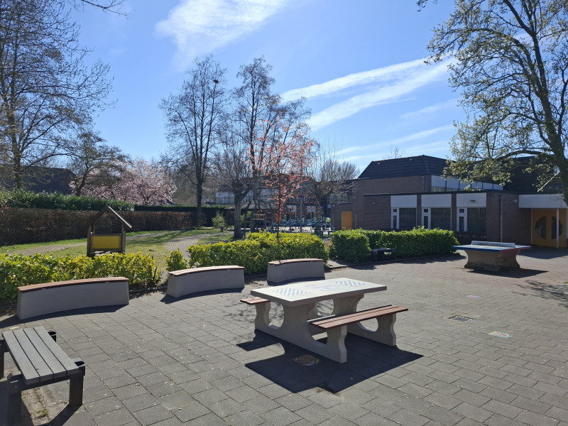 Taalbrug uit Eindhoven