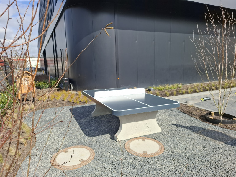 Groenland Kip Bodegraven uit Bodegraven