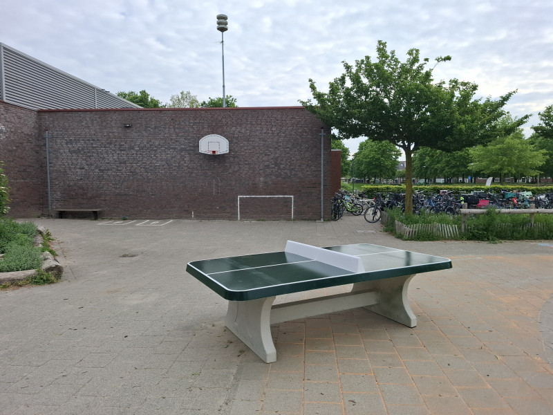 OBS De Plantage uit Houten