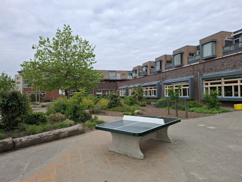 OBS De Plantage uit Houten