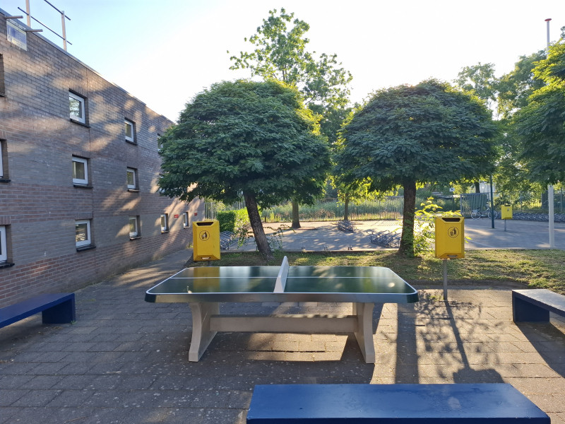 Niftarlake College uit Pauwenkamp