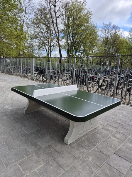 Gymnasium Celeanum uit Zwolle