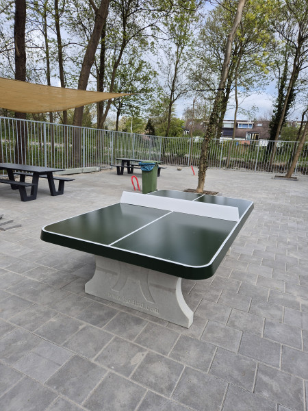 Gymnasium Celeanum uit Zwolle