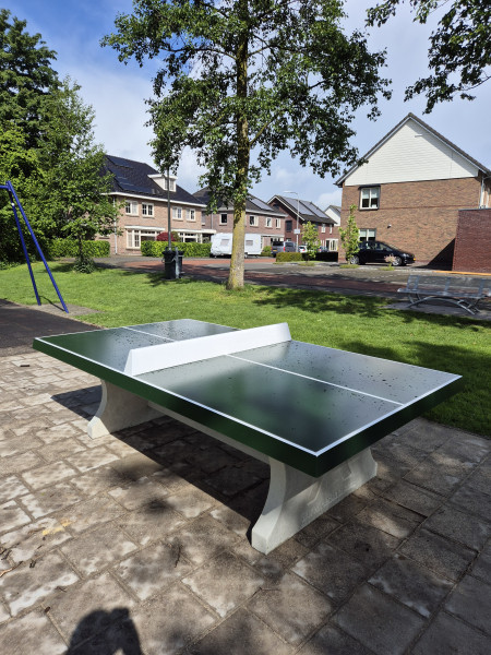 Gemeente Raalte uit Luttenberg