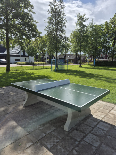 Gemeente Raalte uit Luttenberg