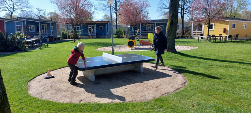 Pingpongtafel Laag Afgerond Groen
