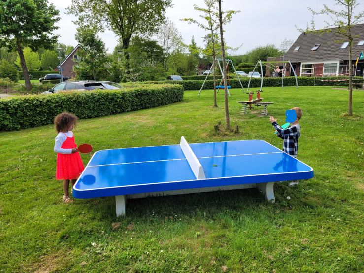 Pingpongtafel Laag Afgerond Blauw