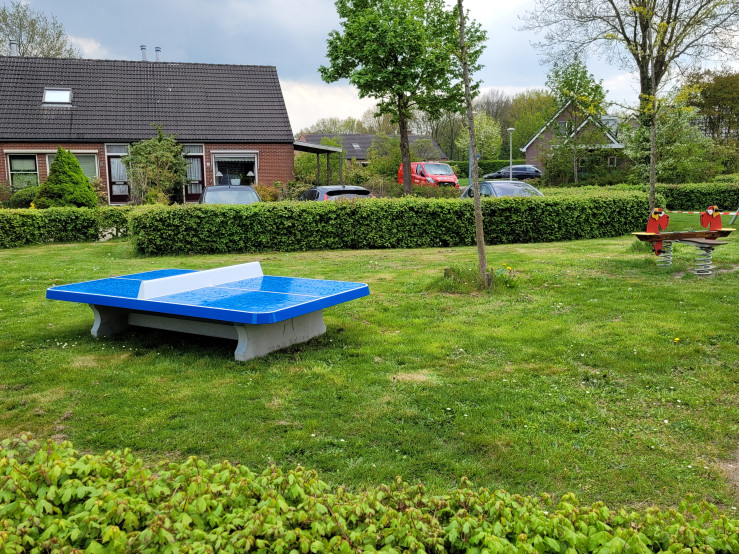 Pingpongtafel Laag Afgerond Blauw
