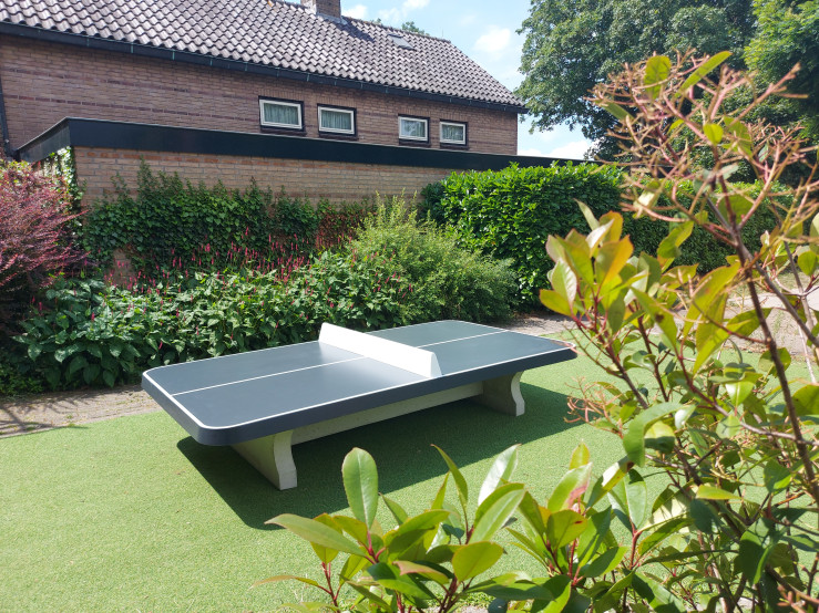 Pingpongtafel Laag Afgerond Antraciet